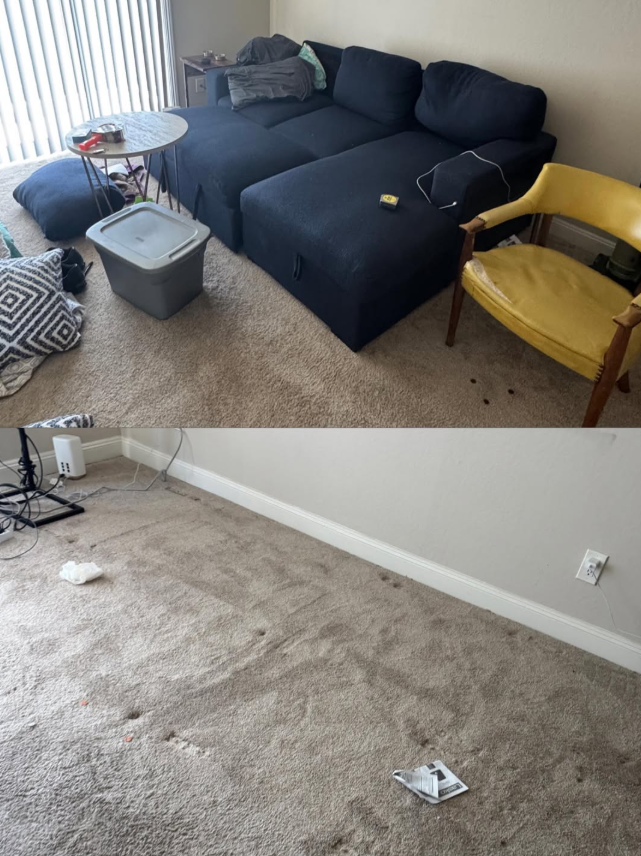 furniture removal islip before&after