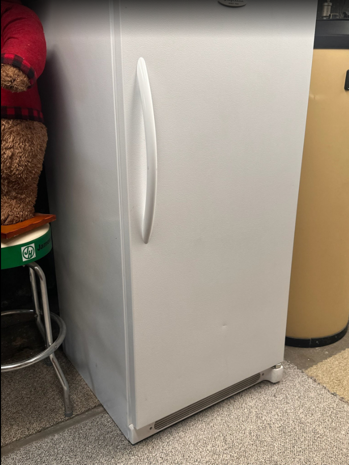 fridge in basement