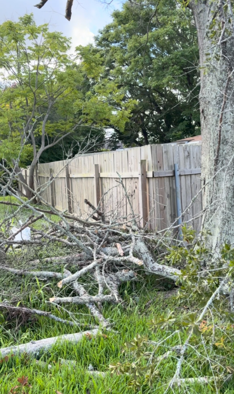 Yard Debris Removal yard debris islip